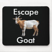 Funny Escape Goat Scapegoat Animal Huda Humour Isl