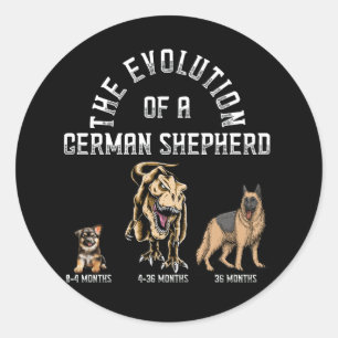 Funny Evolution German Shepherd Dinosaurus Pet Dog Classic Round Sticker