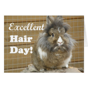 Funny "Excellent Hair Day" for Rabbit