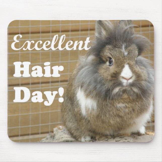 Funny "Excellent Hair Day" for Rabbit Mouse Mat (Front)