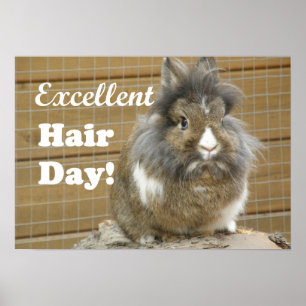 Funny "Excellent Hair Day" for Rabbit Poster