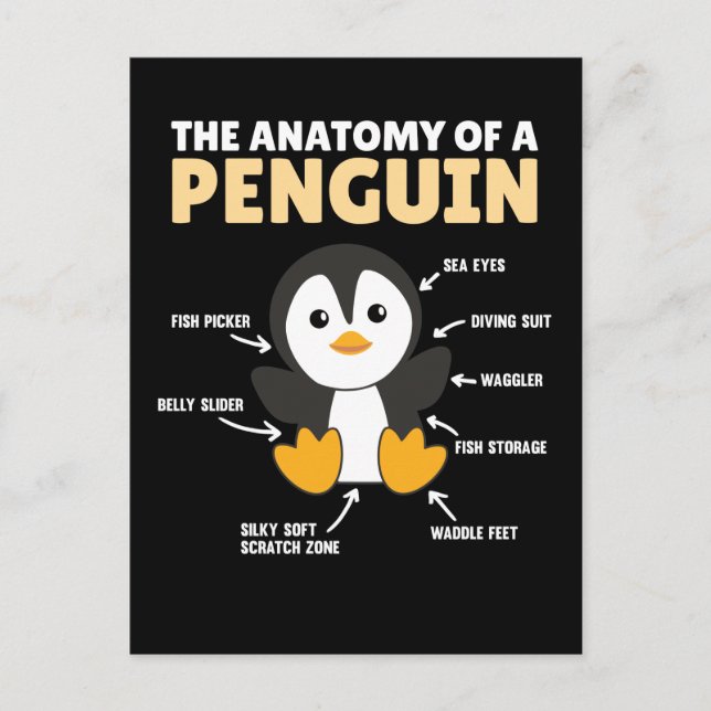 Funny Explanation Of A Penguin The Anatomy Postcard (Front)