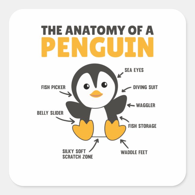 Funny Explanation Of A Penguin The Anatomy Square Sticker (Front)