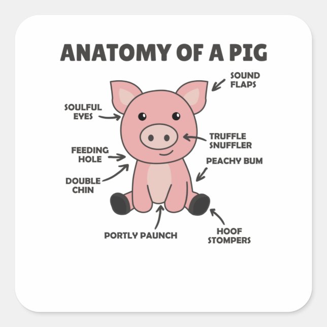 Funny Explanation Of A Pig's Anatomy Square Sticker (Front)