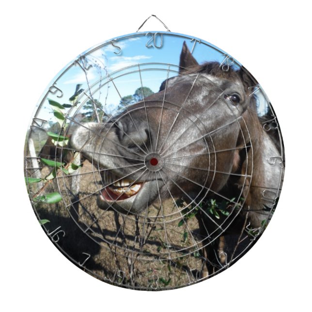 Funny Face brown horse Dartboard (Front)
