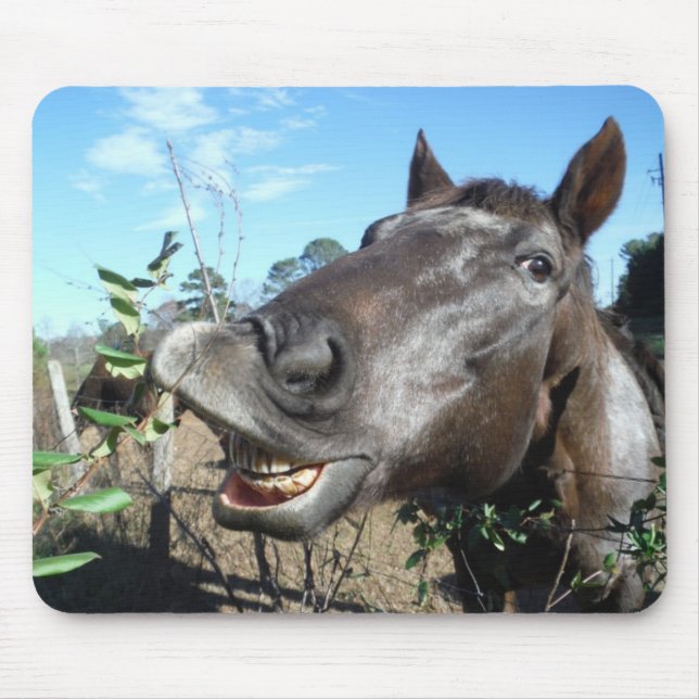 Funny Face brown horse Mouse Mat (Front)