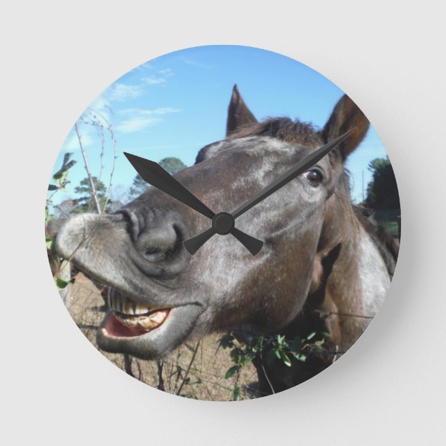 Funny Face brown horse Round Clock (Front)