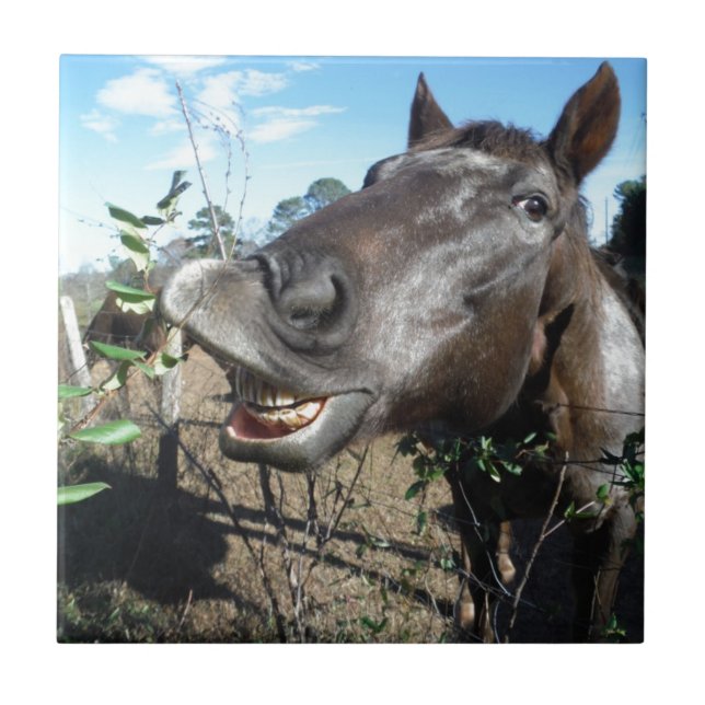 Funny Face brown horse Tile (Front)