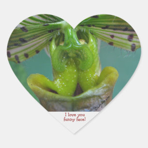 Funny  Face Slipper Orchid Heart Sticker