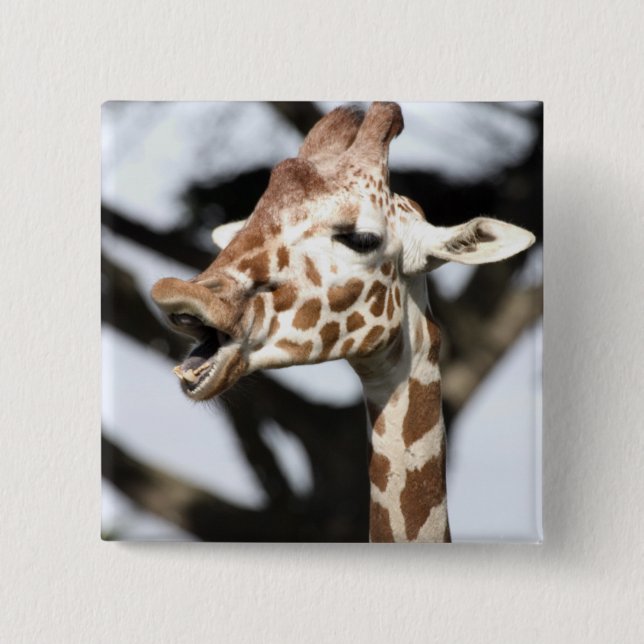 Funny faced reticulated giraffe, San Francisco 15 Cm Square Badge (Front)