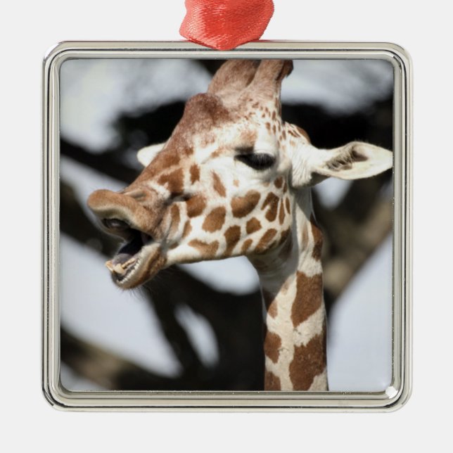 Funny faced reticulated giraffe, San Francisco Metal Tree Decoration (Front)