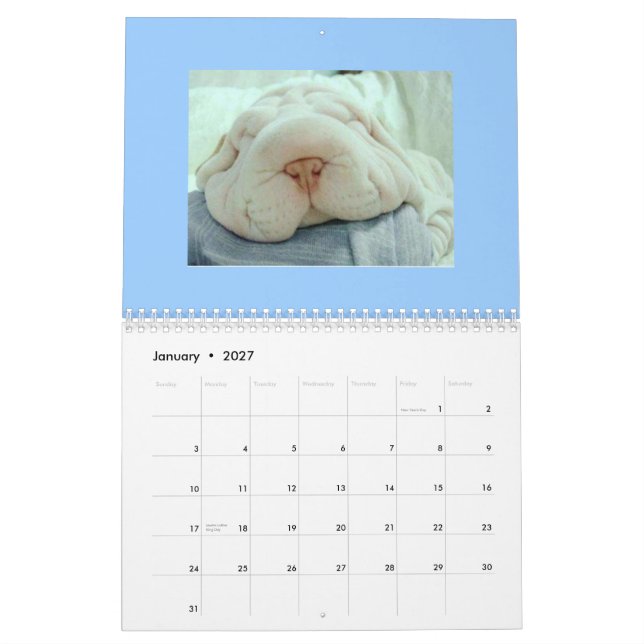 Funny Faces Calendar (Jan 2027)