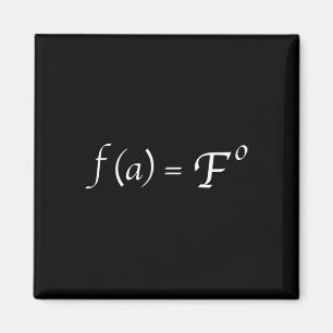 Funny Fafo Math Equation Novelty Math Teacher Magnet