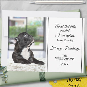 Funny Family Pet Naughty List 1 Photo Typography Holiday Card