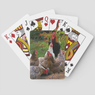 Funny Farmyard Chickens & Rooster Playing Cards