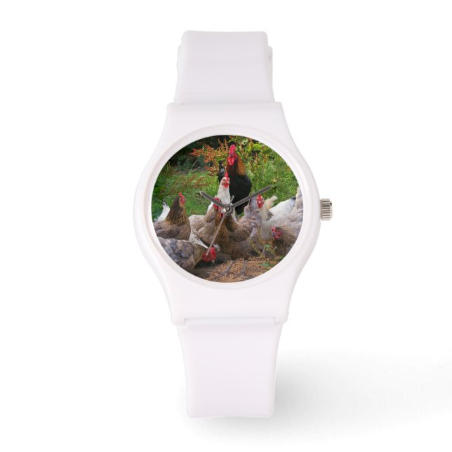 Funny Farmyard Chickens Rooster Sporty Watch (Front)