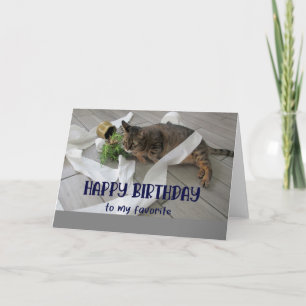 Funny Fat Cat Birthday Greeting Card 