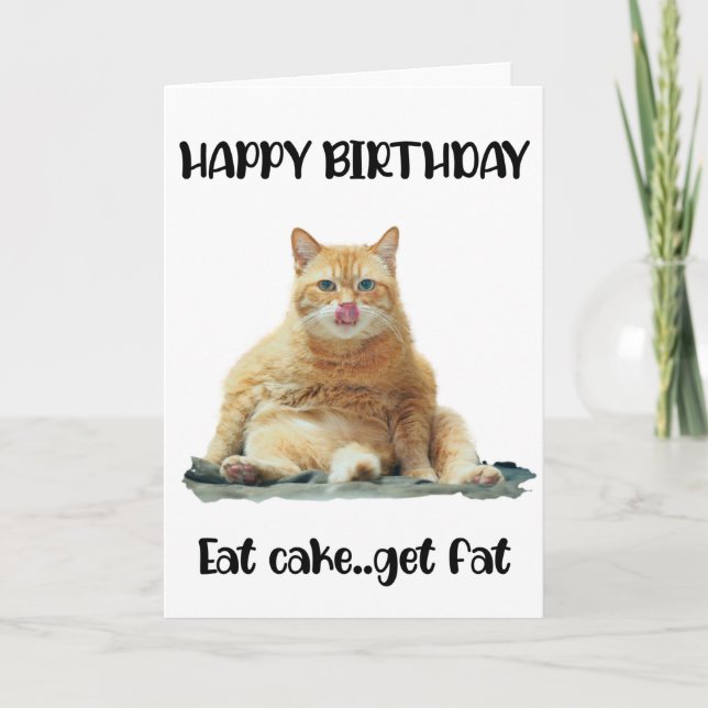 Funny Fat Cat Birthday Greeting Card  (Front)