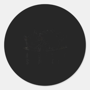 Funny Fat Cat Mother, I Am But Skin And Bones Moth Classic Round Sticker