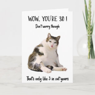 Funny Fat Cat Sitting Birthday Greeting Card 
