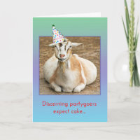 Funny Fat Goat In Party Hat Birthday