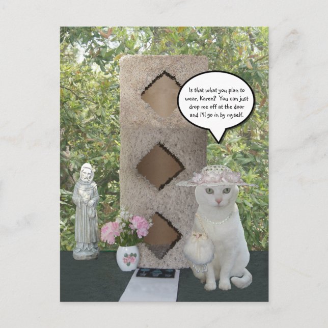 Funny Female Cat Meme Announcement Postcard (Front)