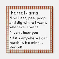 Funny Ferret-ism Quotes