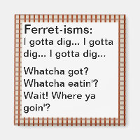 Funny Ferret-ism Quotes