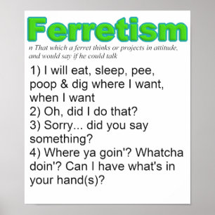 Funny Ferrets Poster