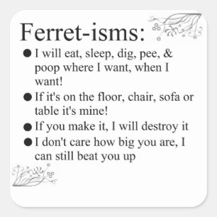 Funny Ferrets Square Sticker