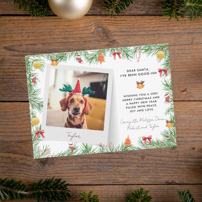 Funny Festive Pet Photo Dog Christmas Holiday Card (Funny Festive Pet Photo Dog Christmas Holiday Note Card)