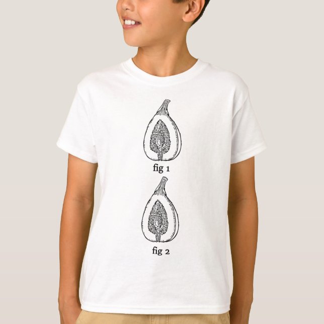 Funny Fig Fruit Fig 1 Fig 2 T-Shirt (Front)
