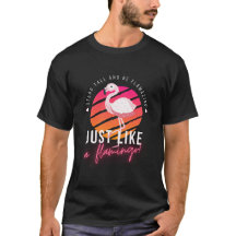 Funny Flamingo T-Shirts