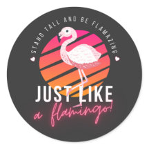 Funny Flamingo T-Shirts