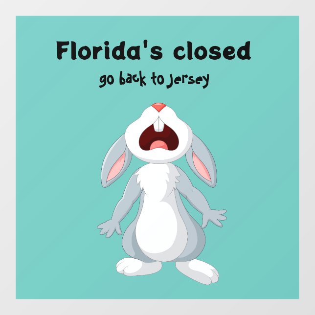 Funny Florida New Jersey Window Decal (Sheet)