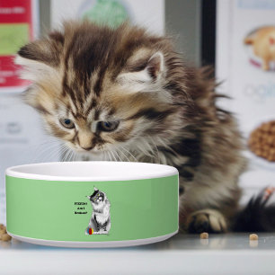 Funny Fluffy Maine Coon Cat Green Humour Bowl