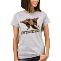 Funny Flying Squirrel Try To Run Now Meme