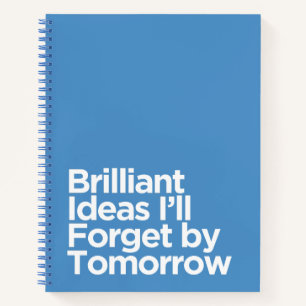 Funny for Forgetful People with Brilliant ideas Notebook