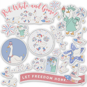 Funny Fourth of July Silly Patriotic Goose Parade