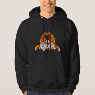 Funny Fox Gnomes For Forester And Animal Lover - C Hoodie