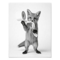 Funny Fox Holding Toilet Paper Minimalist Wildlife