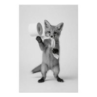 Funny Fox Holding Toilet Paper Minimalist Wildlife