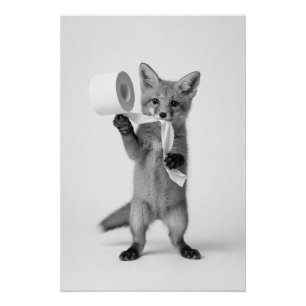 Funny Fox Holding Toilet Paper Minimalist Wildlife Poster