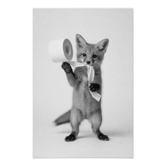 Funny Fox Holding Toilet Paper Minimalist Wildlife Poster