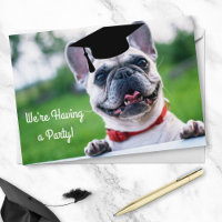 Funny French BullDog Dog Photo Graduation Party