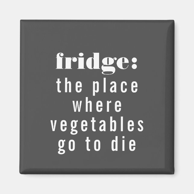 Funny Fridge Definition Grey and White Magnet (Front)