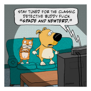 Funny Frightened Cat and Dog Poster