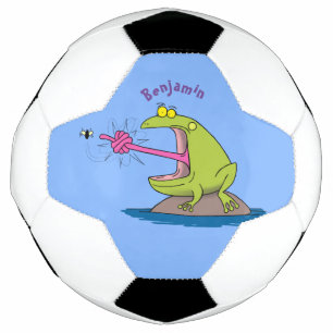 Funny frog and fly cartoon football