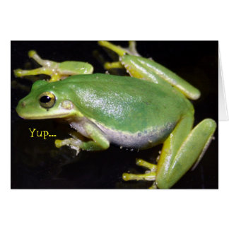 Funny Frog Card