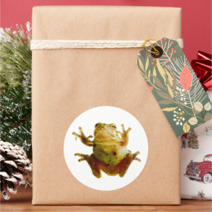 Funny Frog Froggie Toad 4Fred Classic Round Sticker